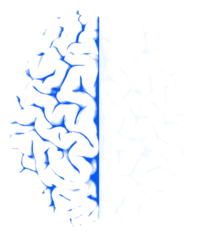 A white brain silhouette representing analytical structure and creative judgment.